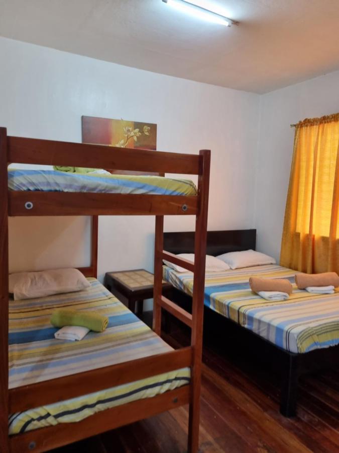 Southpoint Hostel Moalboal Oda fotoğraf